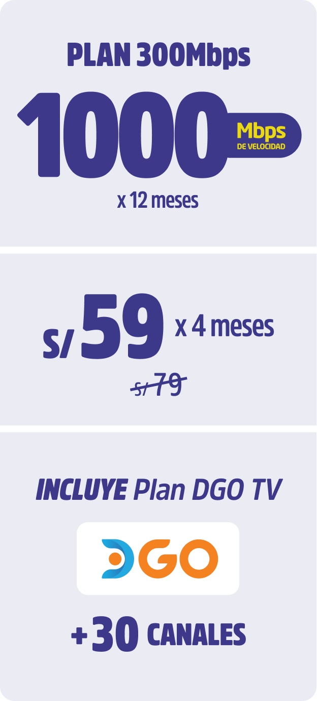 Plan 300Mbps
